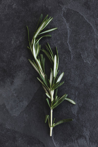 Rosemary