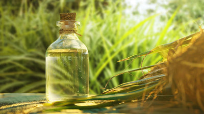 Vetiver